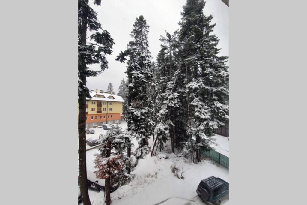 Cozy One Bedroom Apartment in Iglika Complex Borowec Zewnętrze zdjęcie